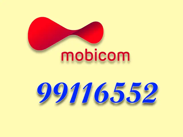 99116552, Улаанбаатар — Баянгол — 3, 4 хороолол