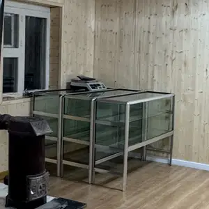 Лангуу, Улаанбаатар — Чингэлтэй — Дэнжийн 1000