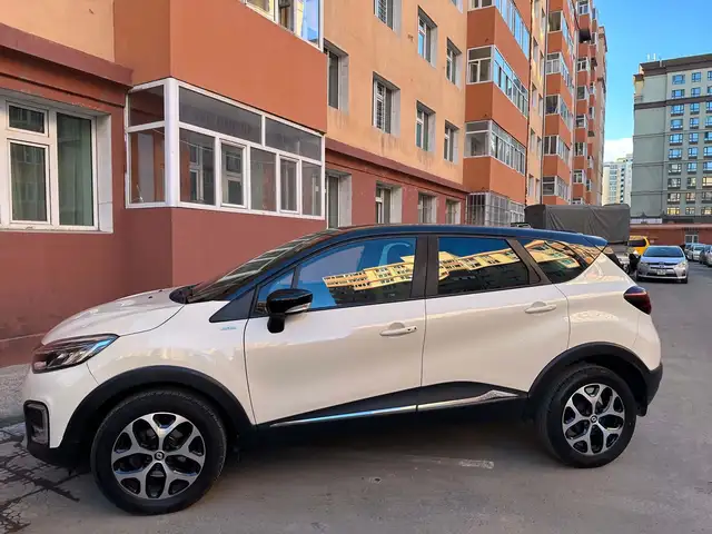 Renault Бусад