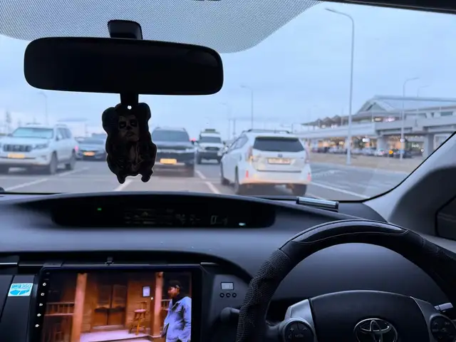 Toyota Prius 30