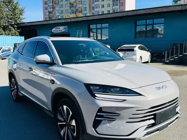 BYD Бусад