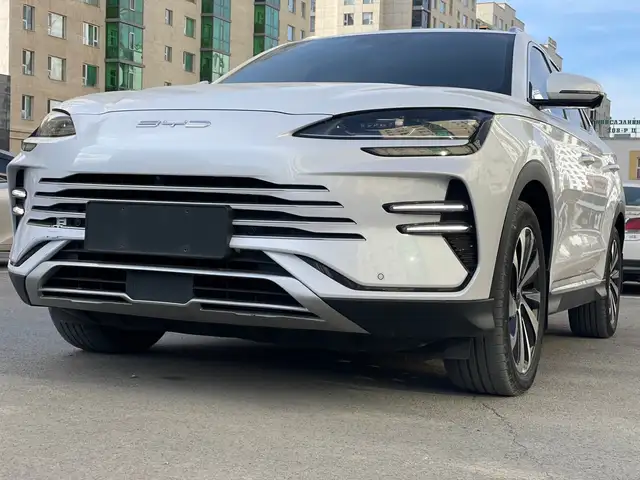 BYD Бусад