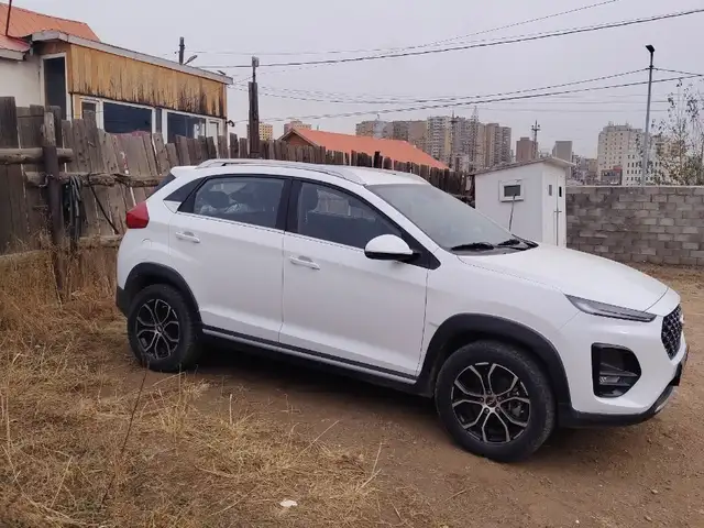 Chery Бусад