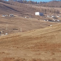 Гачууртын хойно баяндөхөмд 2 га газар Гачууртын хойно баяндөхөмд 2 га газар