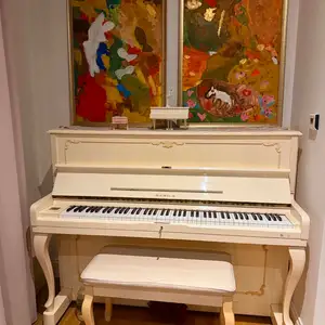 Samick төгөлдөр хуур, Улаанбаатар — Хан-Уул — River Garden