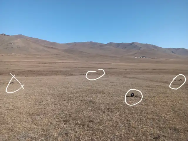 Shd 0.5 gazar, Улаанбаатар — Сонгинохайрхан — 21-р хороо