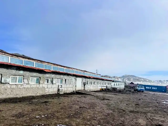 Баянчандмань сумын наана үхрийн ферм, Төв