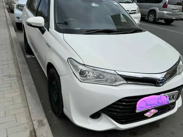 Toyota Corolla Fielder
