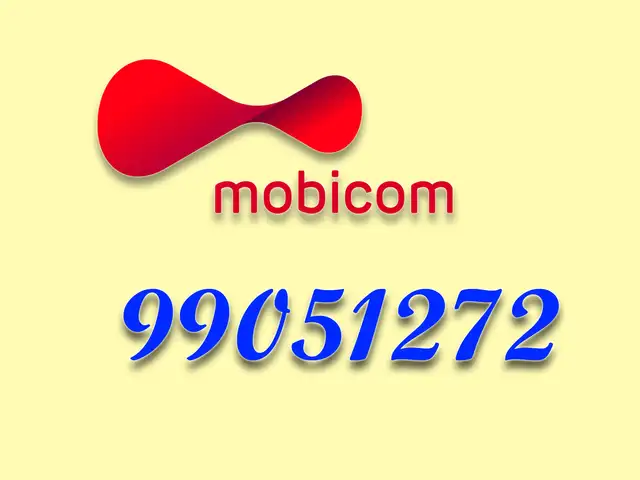 99051272, Улаанбаатар — Баянгол — 3, 4 хороолол