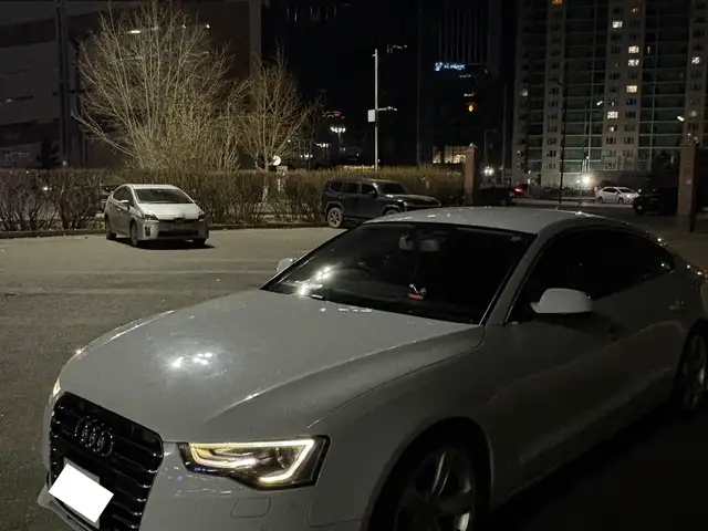 Audi Бусад