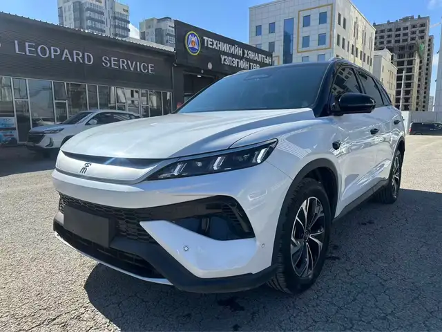 BYD Бусад
