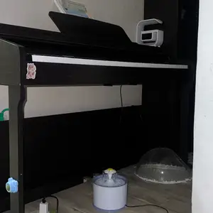 Төгөлдөр хуур, Улаанбаатар — Сонгинохайрхан — Баянхошуу