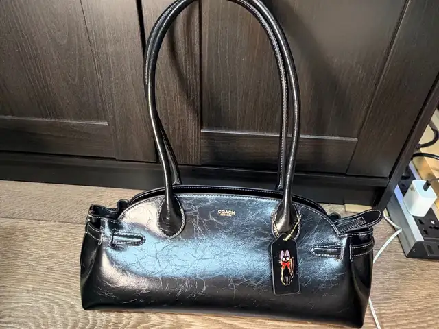 Coach emoire carry all 34, Улаанбаатар — Баянзүрх — 37-р хороо