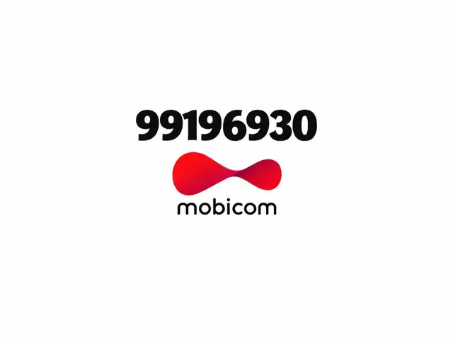 99196930 дугаар, Улаанбаатар — Сүхбаатар — 5-р хороолол