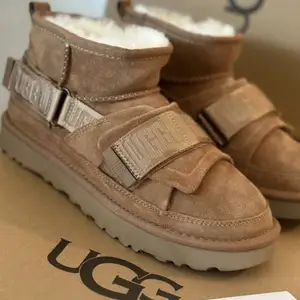 Нэхий дотортой, зузаан ugg, Улаанбаатар — Баянзүрх — 42-р хороо