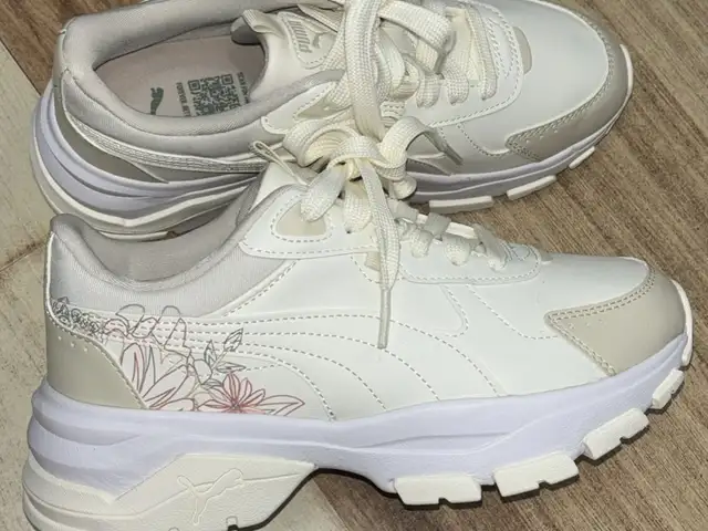 Puma cassia via graphic, Улаанбаатар — Чингэлтэй — Зурагт