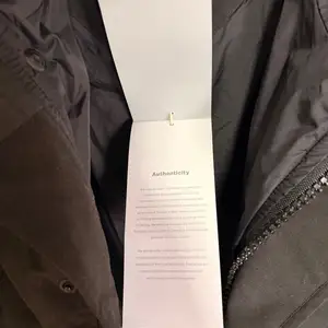 Canada goose, Улаанбаатар — Баянзүрх — 1-р хороо
