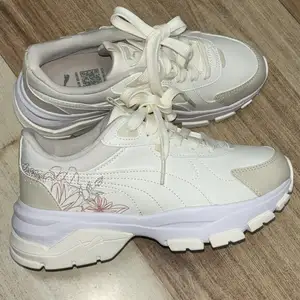 Puma cassia via graphic, Улаанбаатар — Чингэлтэй — Зурагт