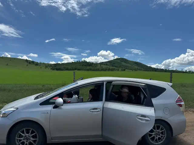 Toyota Prius 41