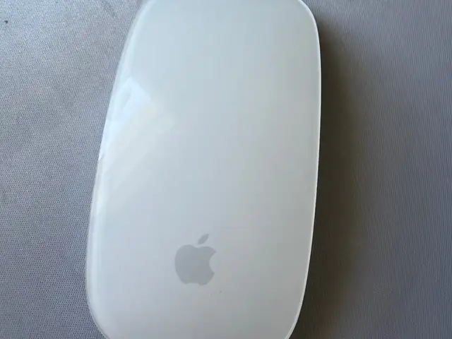 Magic mouse, Улаанбаатар — Сүхбаатар — 1-р хороо