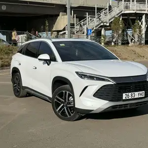 BYD Бусад
