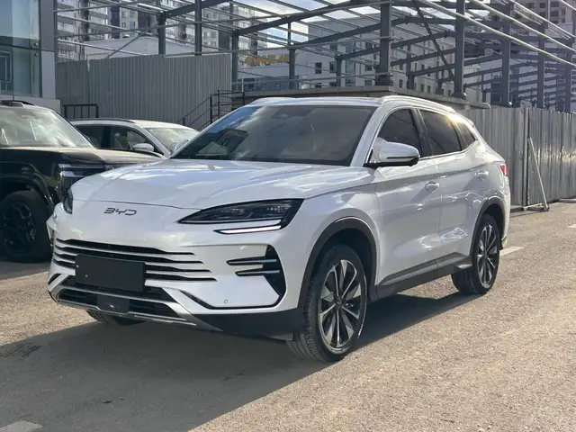 BYD Бусад
