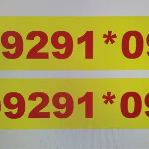 99291а09, Улаанбаатар — Сүхбаатар — 11-р хороолол