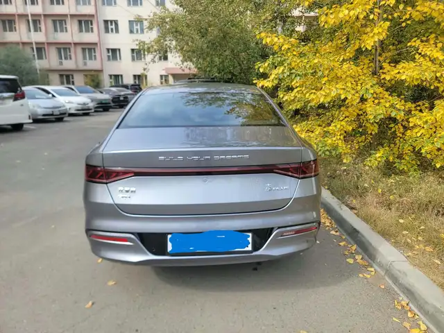 BYD Бусад
