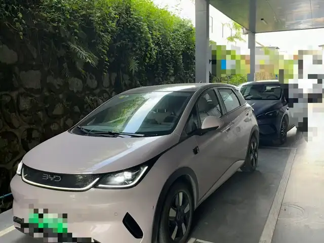 BYD Dolphin