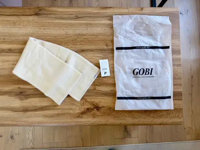 Goyo kids oroolt, Орхон