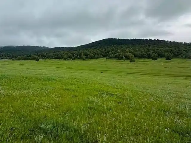 Цонжин болдогт 0,7га газар, Төв