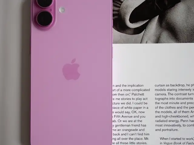 Apple iPhone 16 Plus, 128 gb, Улаанбаатар — Сүхбаатар — Хүүхдийн 100
