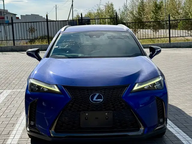 Lexus UX 250