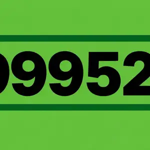 9999 дугаар, Улаанбаатар — Сүхбаатар — 8-р хороо