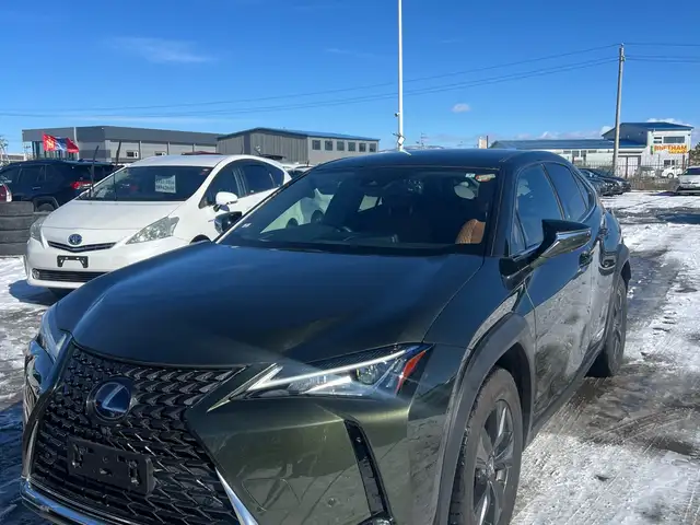 Lexus UX 250