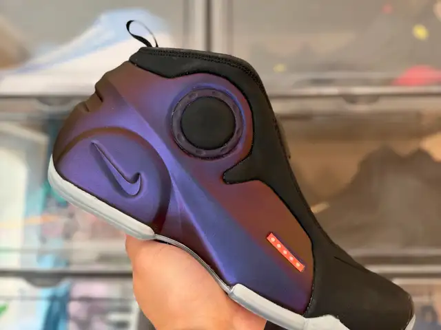 Nike air flightposite 2 eggplant, Улаанбаатар — Сүхбаатар — Дөлгөөн нуур