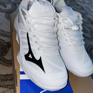 Mizuno wave dimension shine, Дорнод