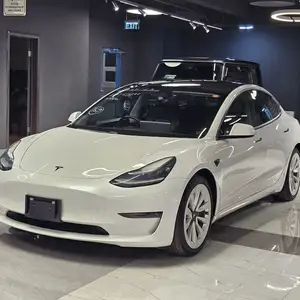 Tesla Бусад