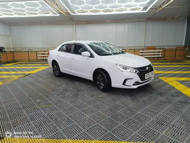 BYD Бусад