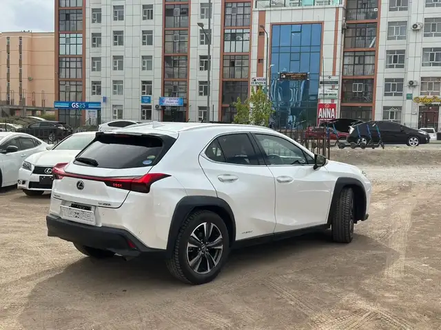 Lexus UX 250