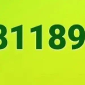 88118939, Баян-Өлгий
