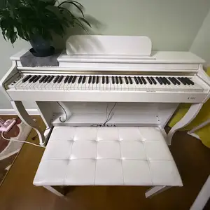 Цагаан төгөлдөр хуур, Улаанбаатар — Сүхбаатар — 3-р хороо