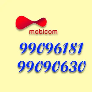 99096181, 99090630, Улаанбаатар — Баянгол — 3, 4 хороолол