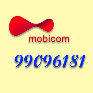 99096181, Улаанбаатар — Баянгол — 3, 4 хороолол