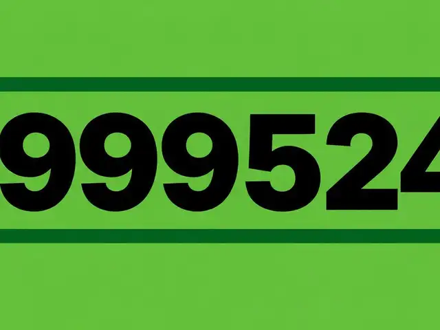 9999 дугаар, Улаанбаатар — Сүхбаатар — 8-р хороо