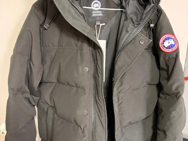 Canada goose, Улаанбаатар — Баянзүрх — 1-р хороо