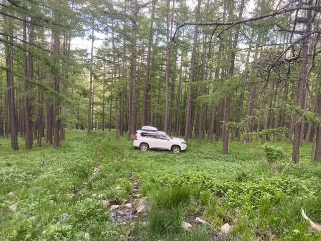 Toyota Land cruiser Prado 150
