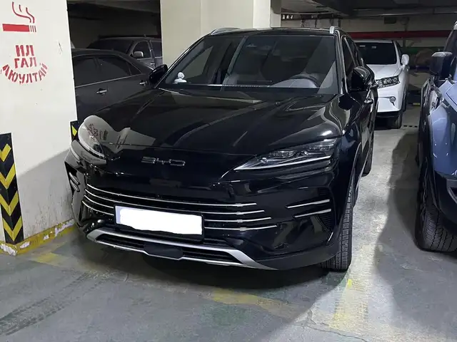 BYD Бусад