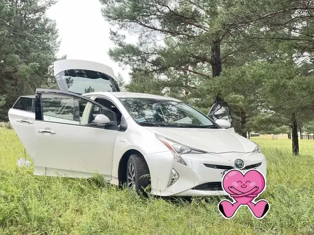 Toyota Prius 50