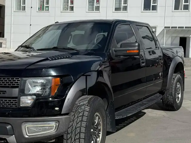 Ford Бусад
